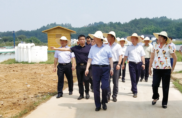 江西省水利廳黨委書記、廳長羅小云視察我司龍南黃沙稀土尾水收集處理廠